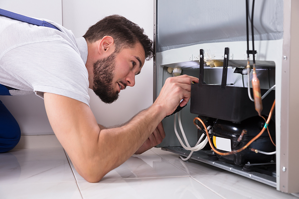 Man Checking Refrigerator - Brighton, MI - Papa Joe’s Appliance Repair