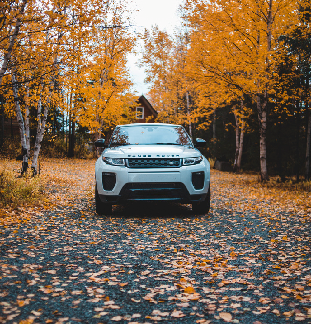 White SUV parked on a leaf-covered path in a fall forest setting.