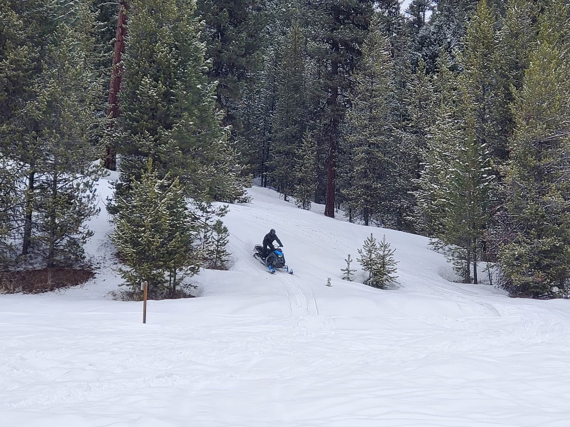 A person is riding a snowmobile down a snowy hill