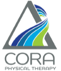 The logo for cora physical therapy is a triangle with a river running through it.