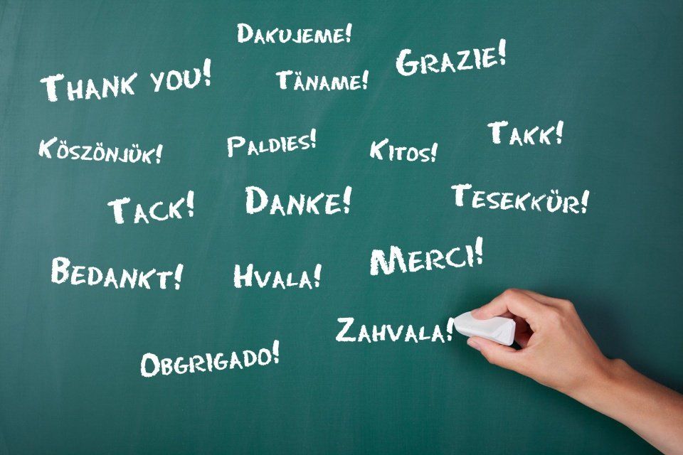 Scuola Di Lingue E Informatica Genova Tilc The International 