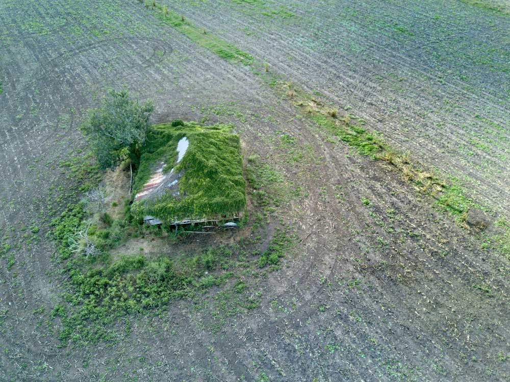 Overgrown Farmhouse Near Goomeri Queensland — Gympie Poo Pumpers in Goomeri, QLD