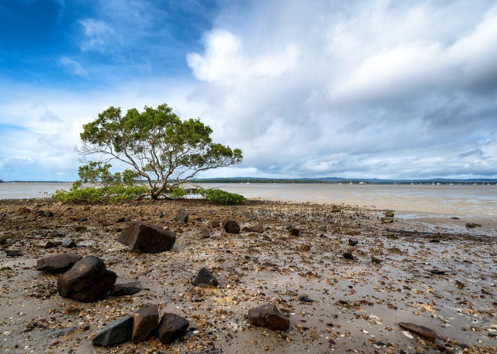 Rocks And Trees At The Beach Under The Blue Cloudy Sky In Tin Can Baya — Gympie Poo Pumpers in Tin Can Bay, QLD