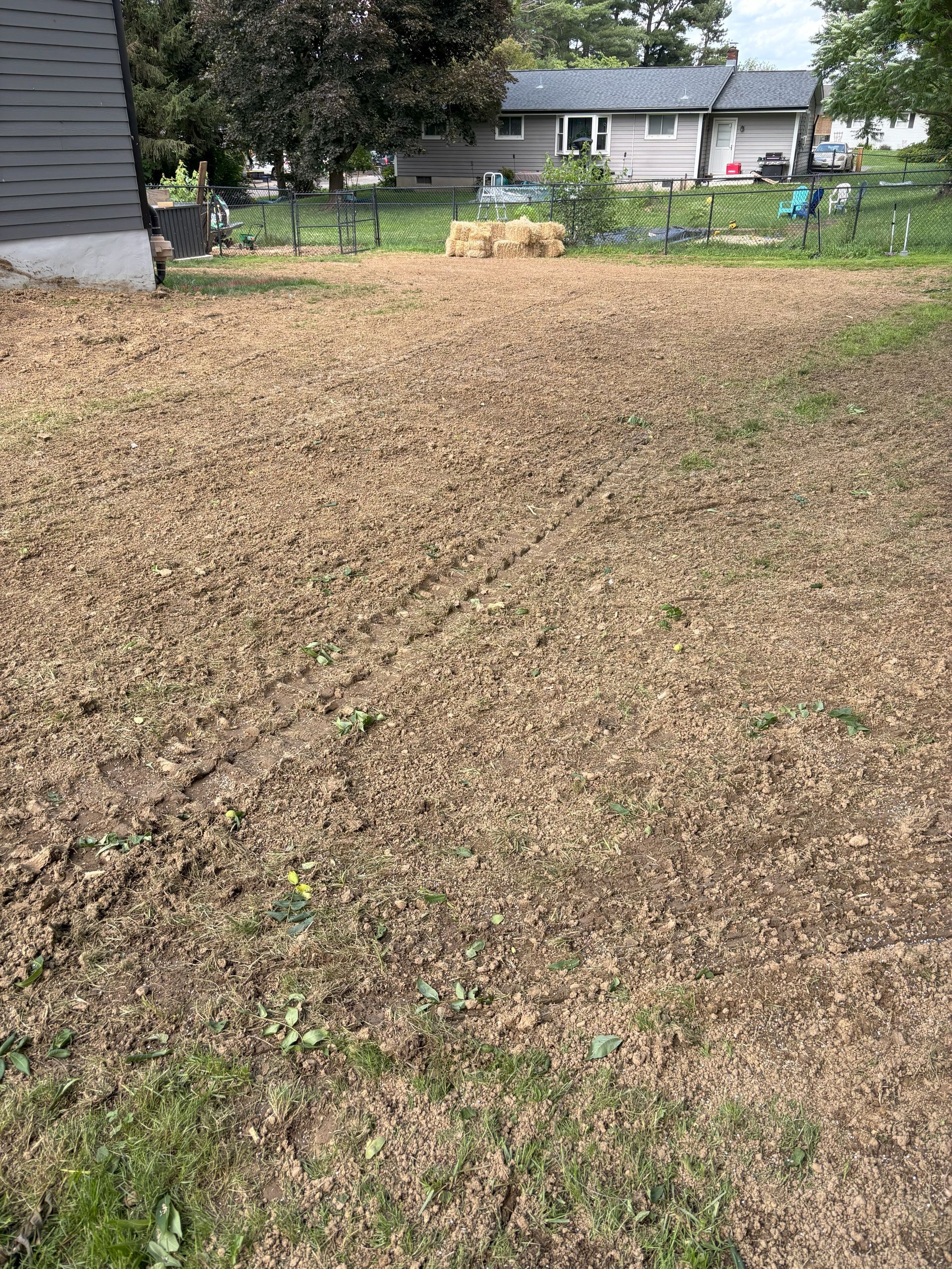A large, brown yard, likely dead grass, with tire tracks. A few trees and houses are in the background.