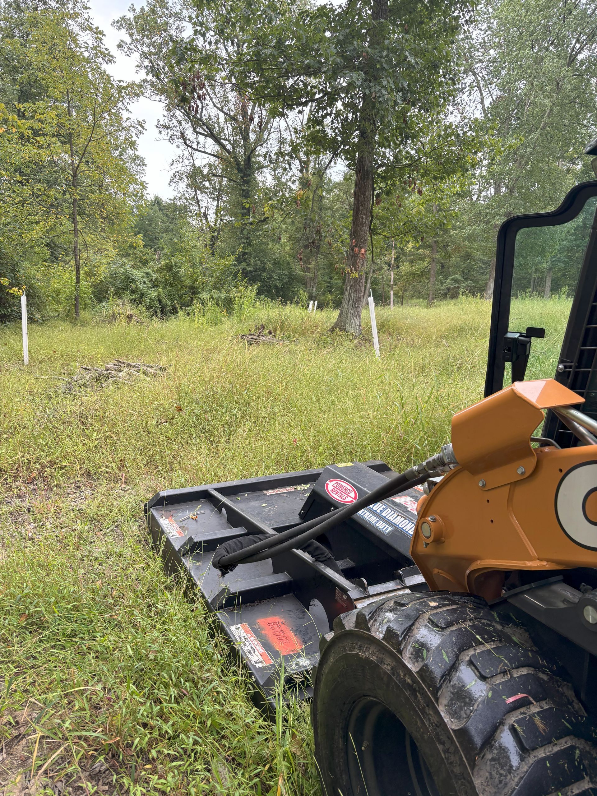 Skid steer with mower cutting tall grass in a field with trees.