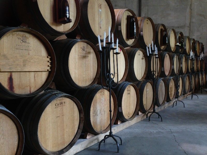 The barrel hall at Brookfields Winery, on a wine tour
