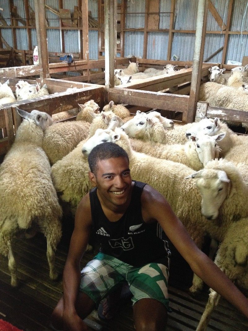 Emile getting into things in the sheep shed on a rural tour of Hawke's Bay, NZ