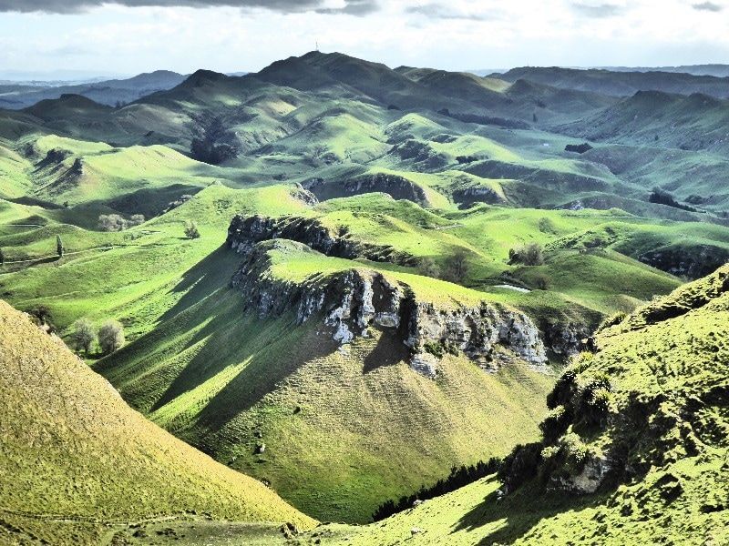 Wine tour with sightseeing views from Te Mata Peak Hawkes Bay