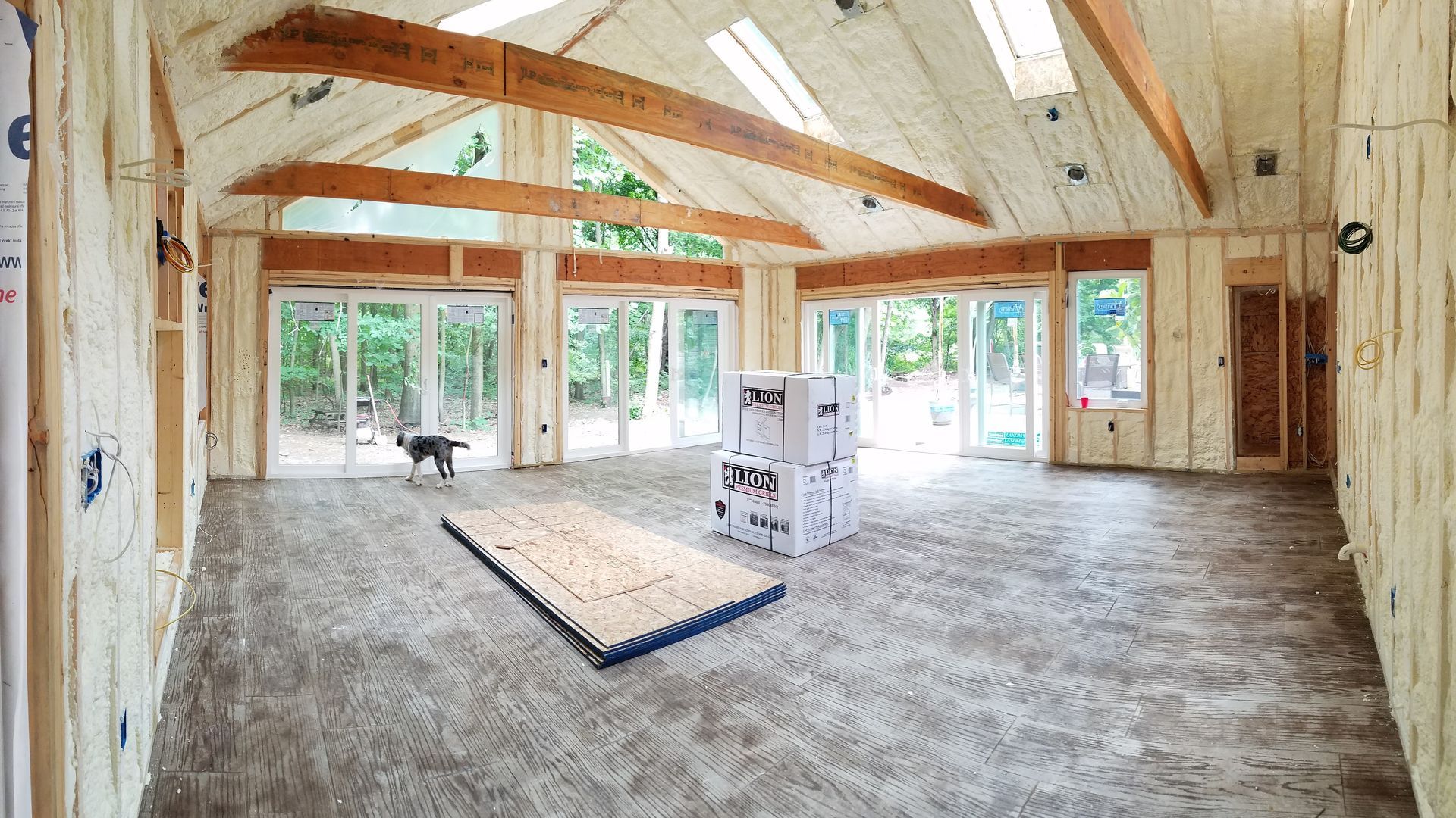A large room with a lot of windows and a dog in it.