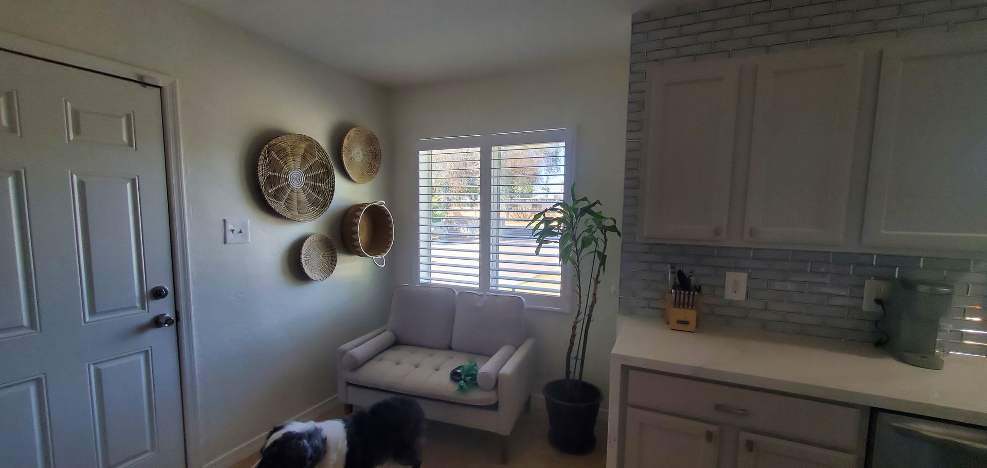 A living room with a couch and a dog in it.
