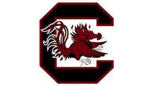 South Carolina Gamecocks