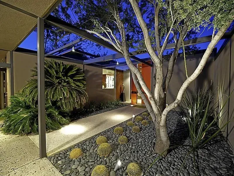 Outdoor walkway at night with tree, cacti, and overhead structure.