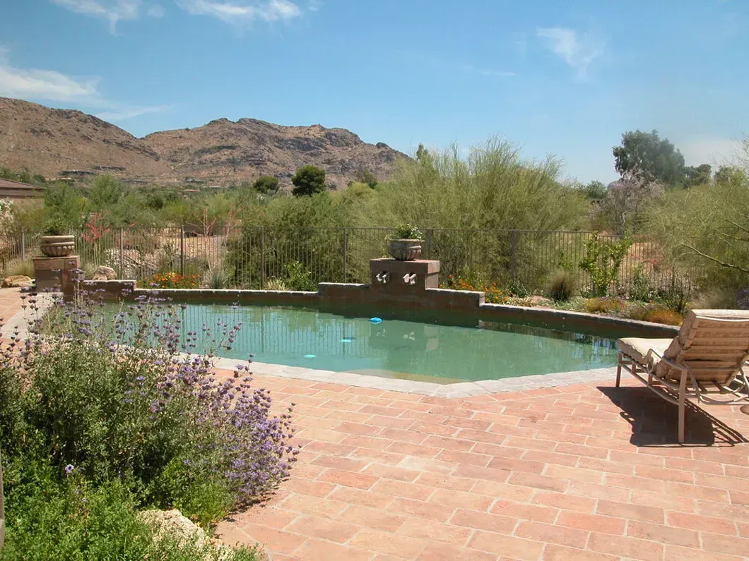 A swimming pool with terracotta tile deck, surrounded by desert landscaping