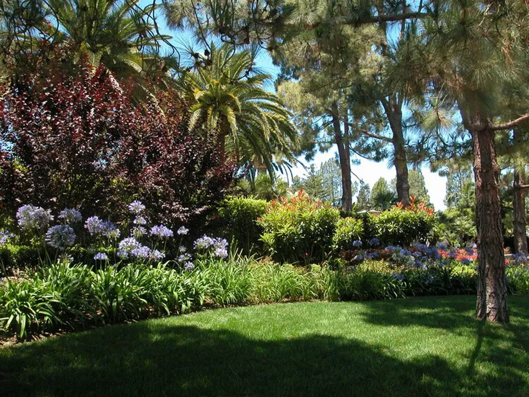 Lush garden with vibrant flowers, dark red foliage, and green lawn, under sunny blue sky.