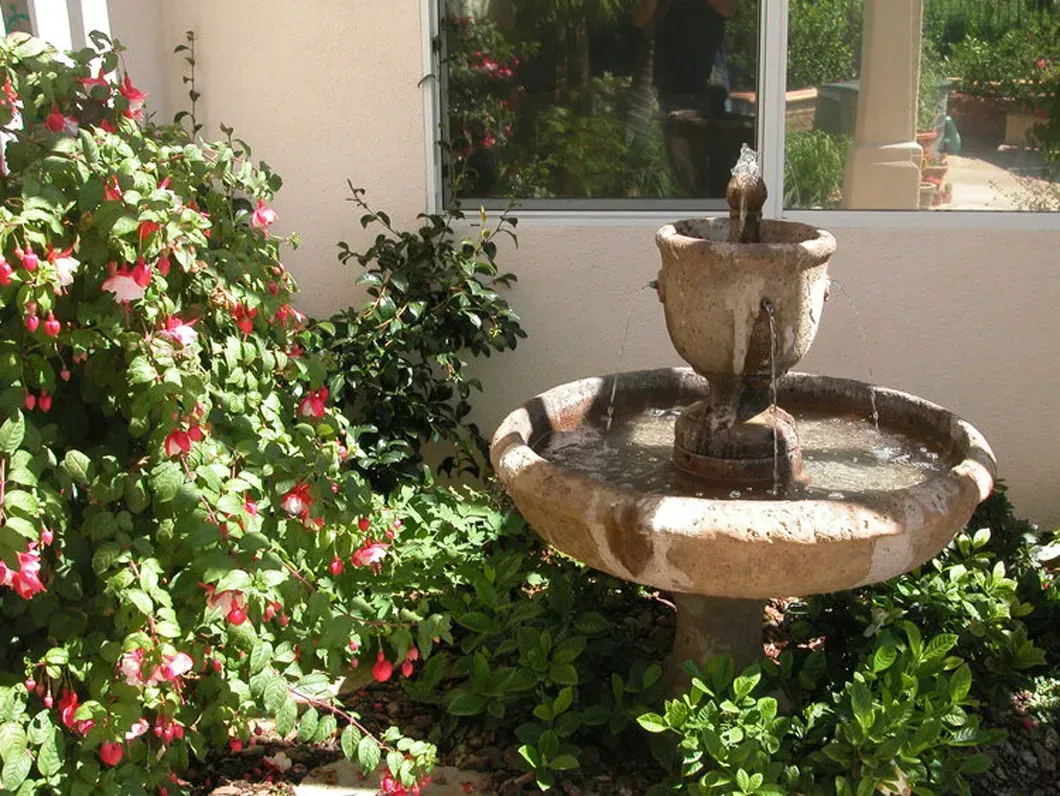 Stone fountain surrounded by green plants and red flowers; view of a window.