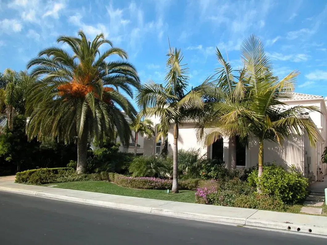 House with palm trees, green bushes, and flowers against a blue sky on a sunny day.