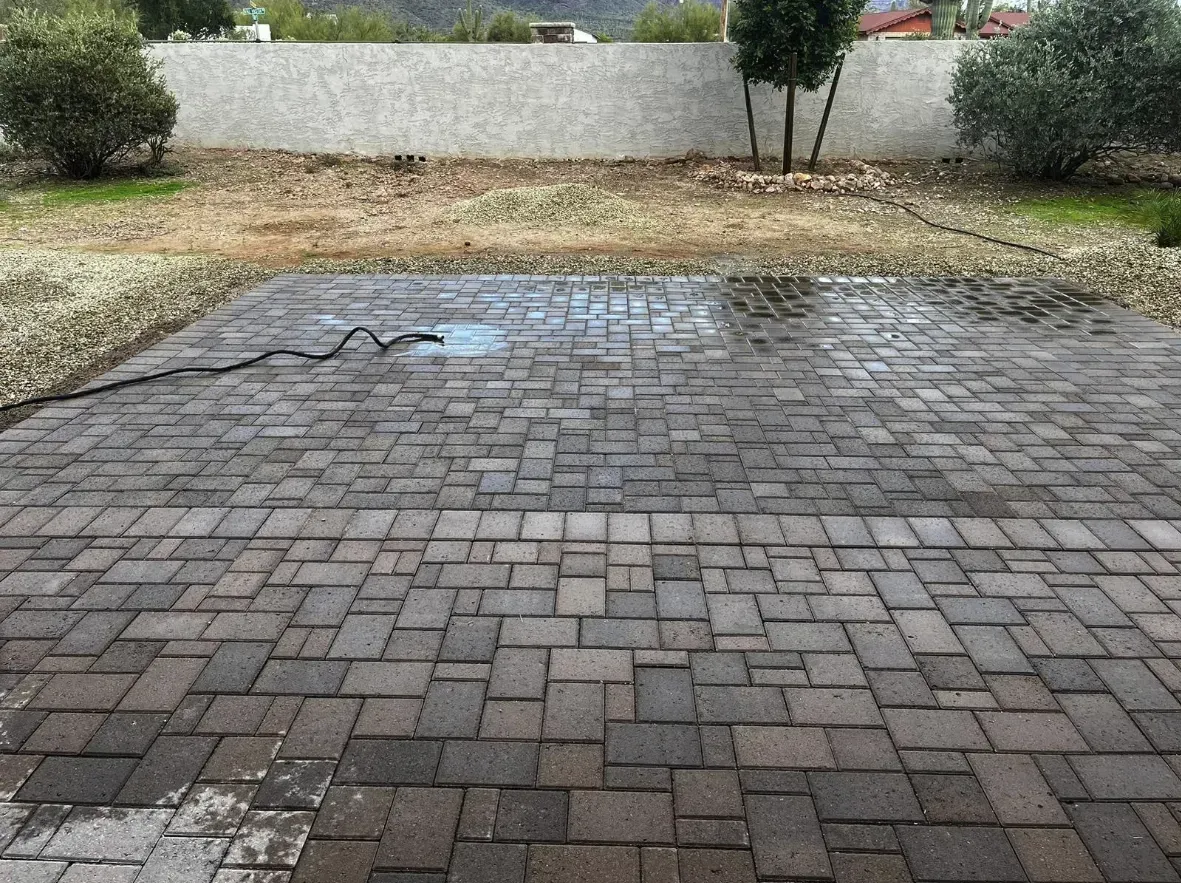 Wet brick patio with a raised crack, in a backyard setting.