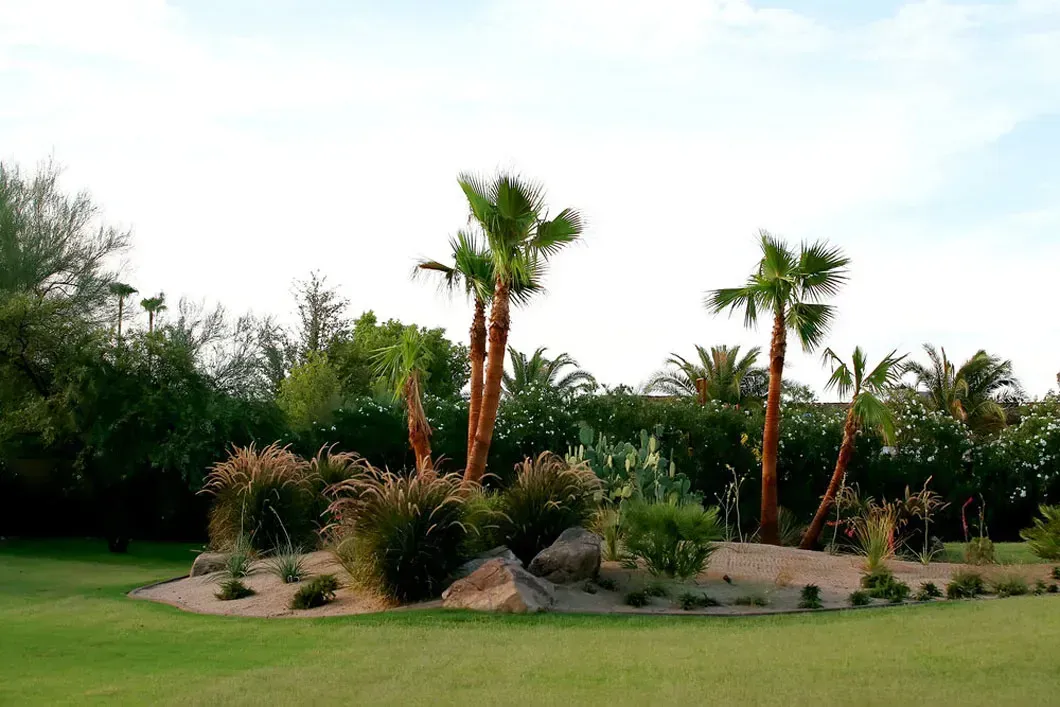 Palm trees and shrubs on a sandy island surrounded by green grass, under a bright sky.