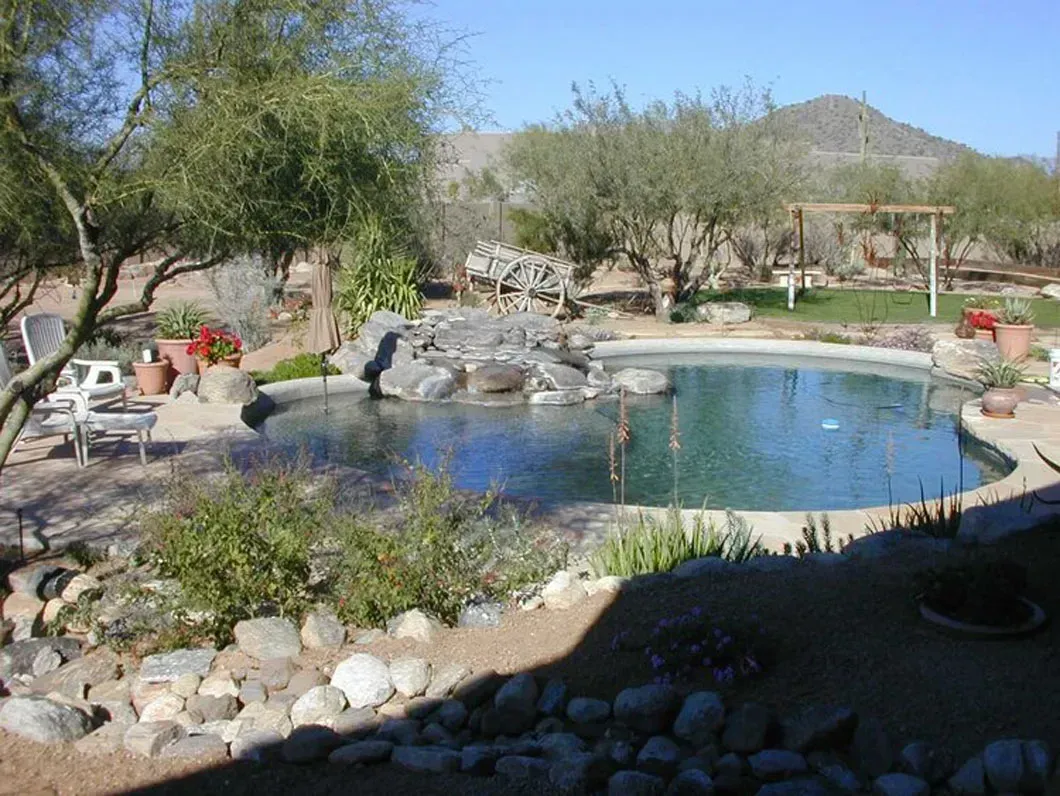 A backyard swimming pool with a rock waterfall feature, surrounded by desert landscaping and trees.