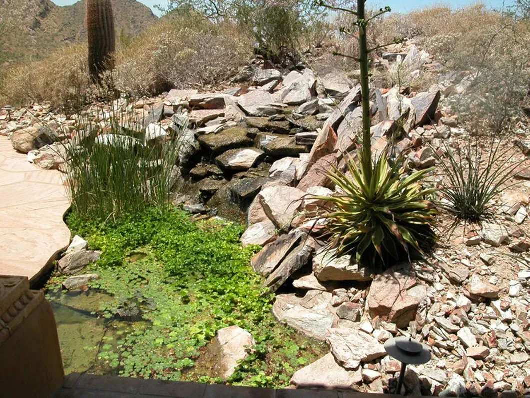Desert oasis with rocky waterfall, small pond, and various desert plants.