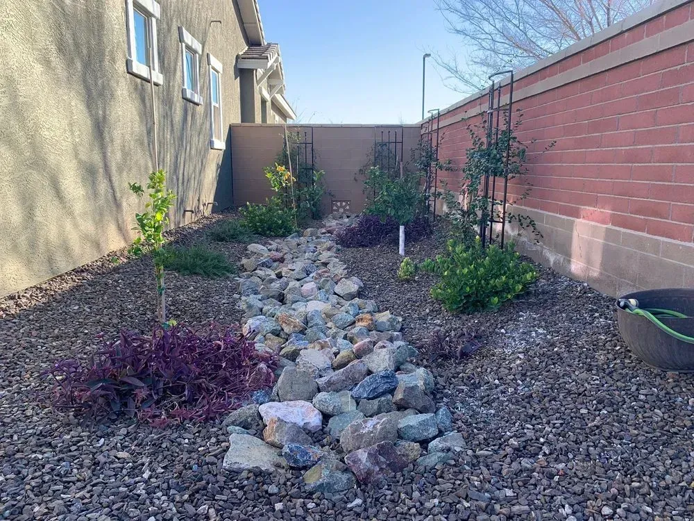 Dry creek bed with rocks and plants between beige and brick walls.