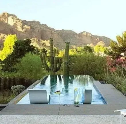 Swimming pool with desert landscape backdrop; large cacti, mountains, chairs.