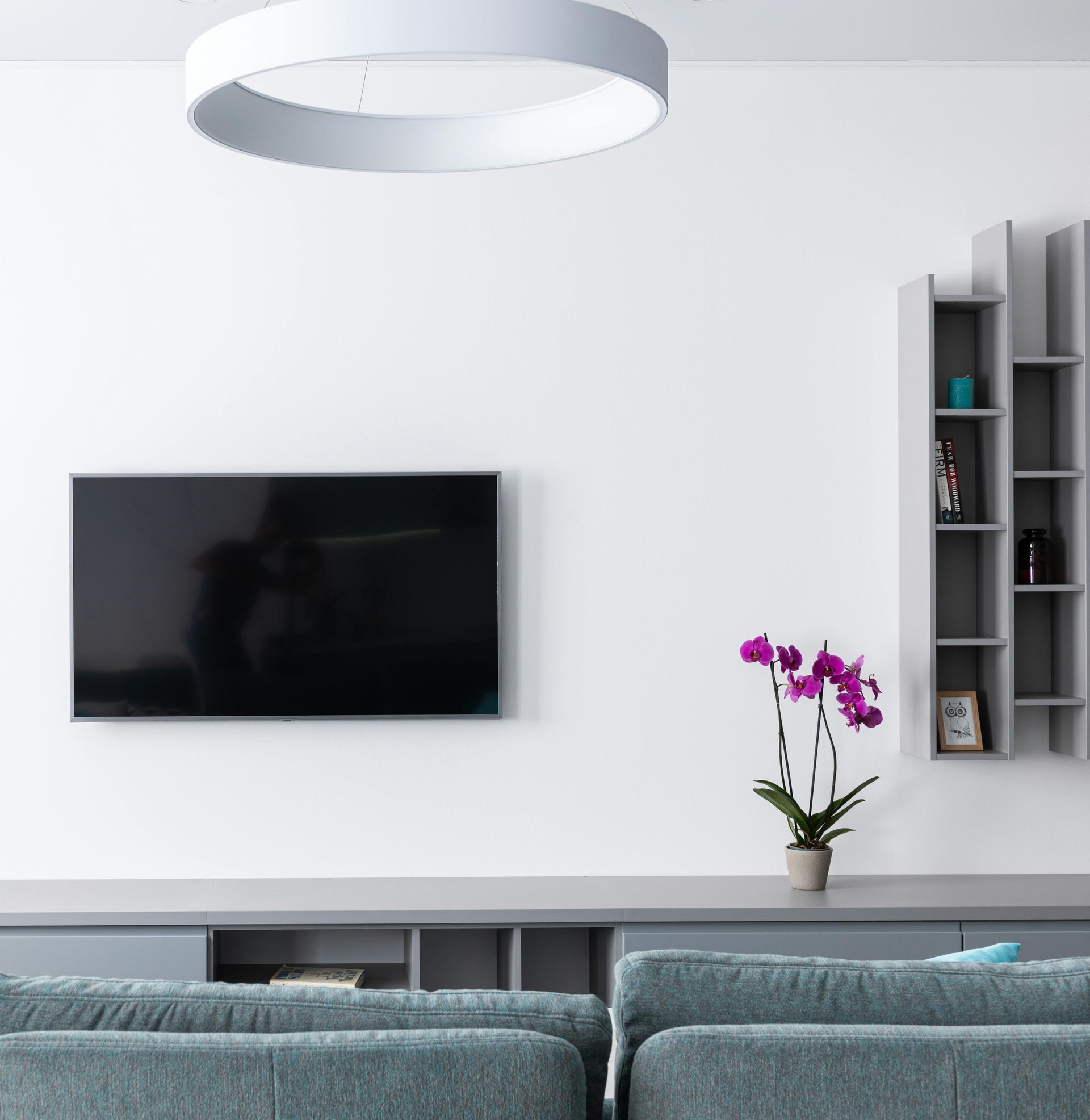 Modern living room with teal sofa, TV on white wall, gray shelves, and orchid.