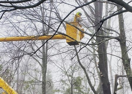 A stump grinder is cutting a tree stump in a yard.