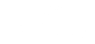 A white background with a few lines on it