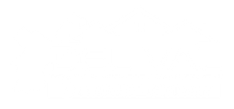 A white background with a few lines on it