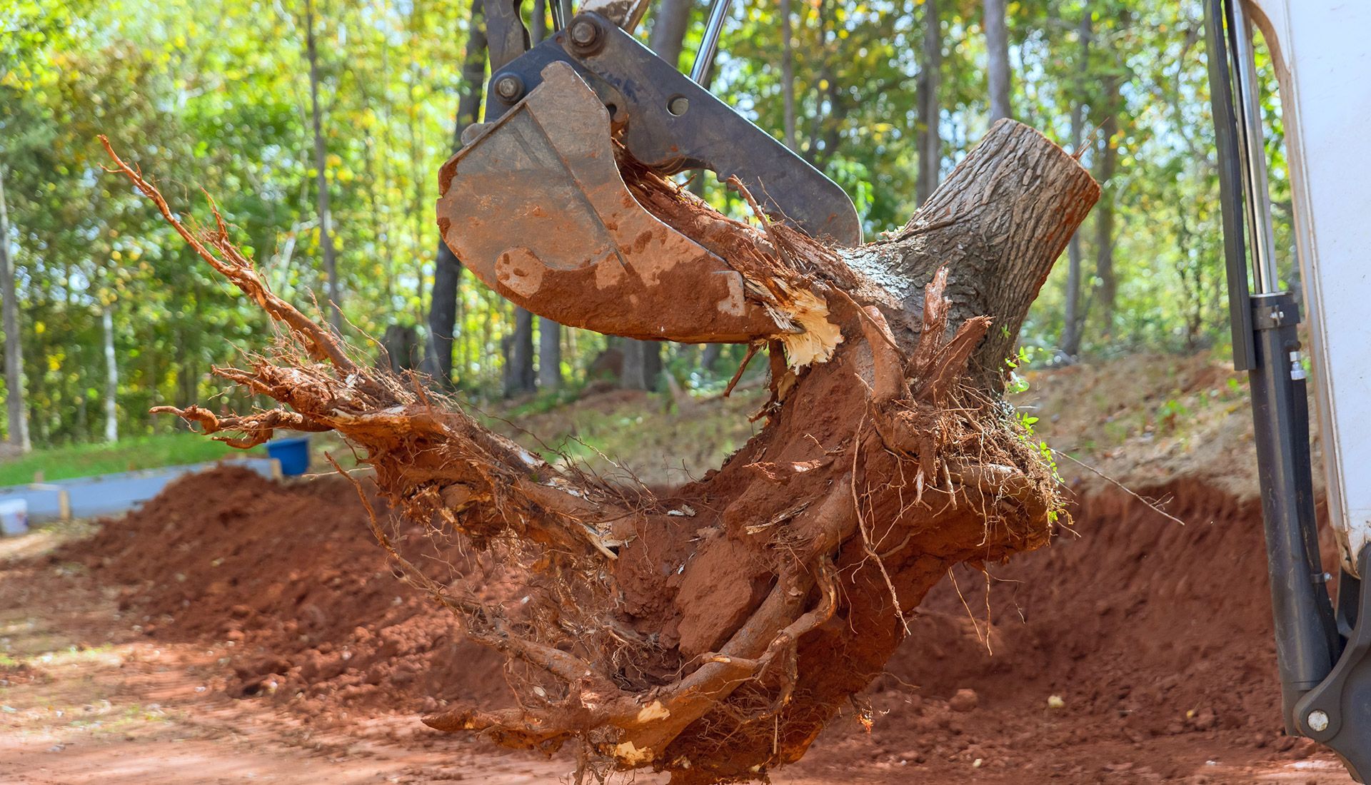 A large tree stump is being removed by an excavator.