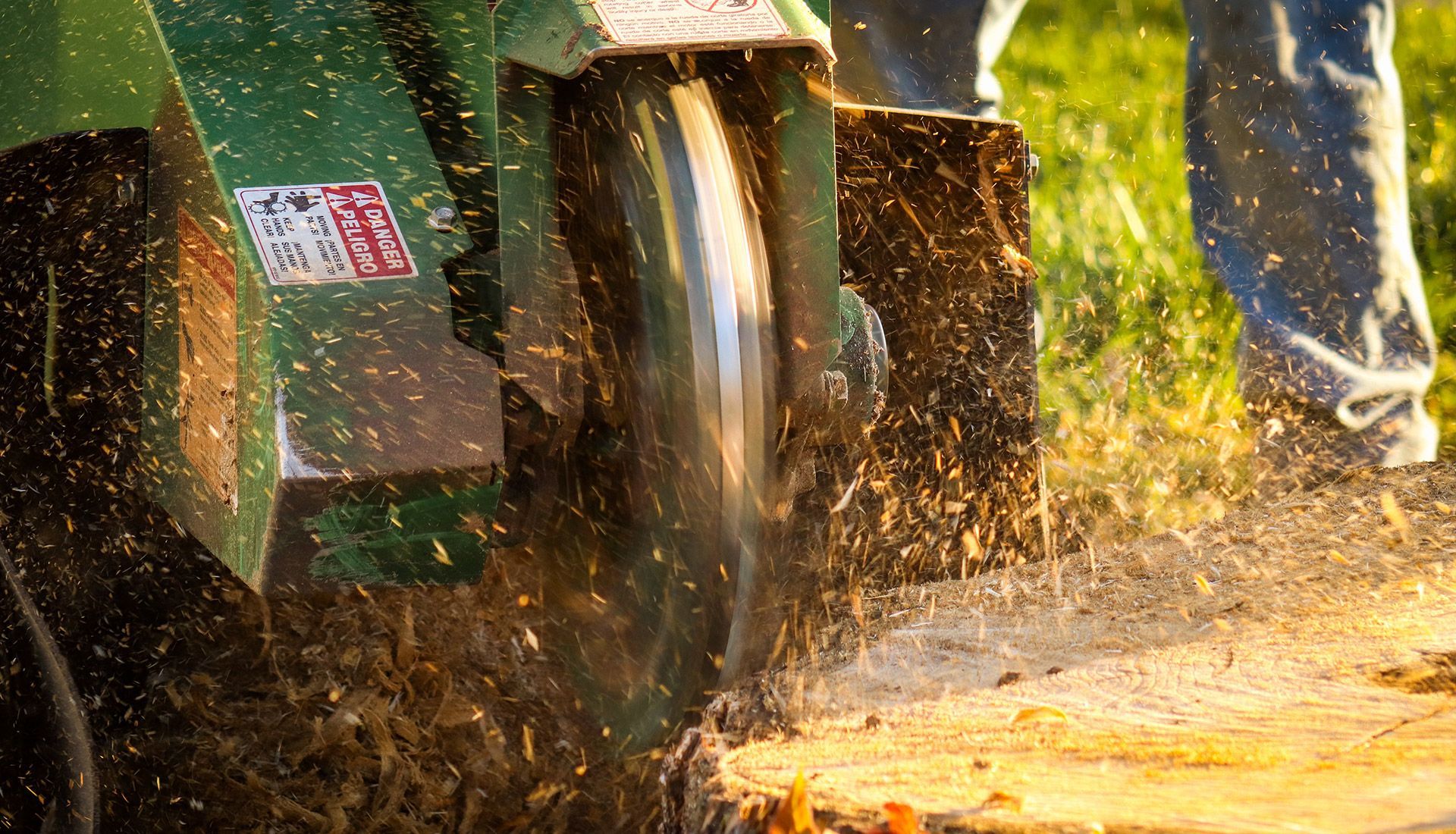A person is using a circular saw to cut a tree stump.