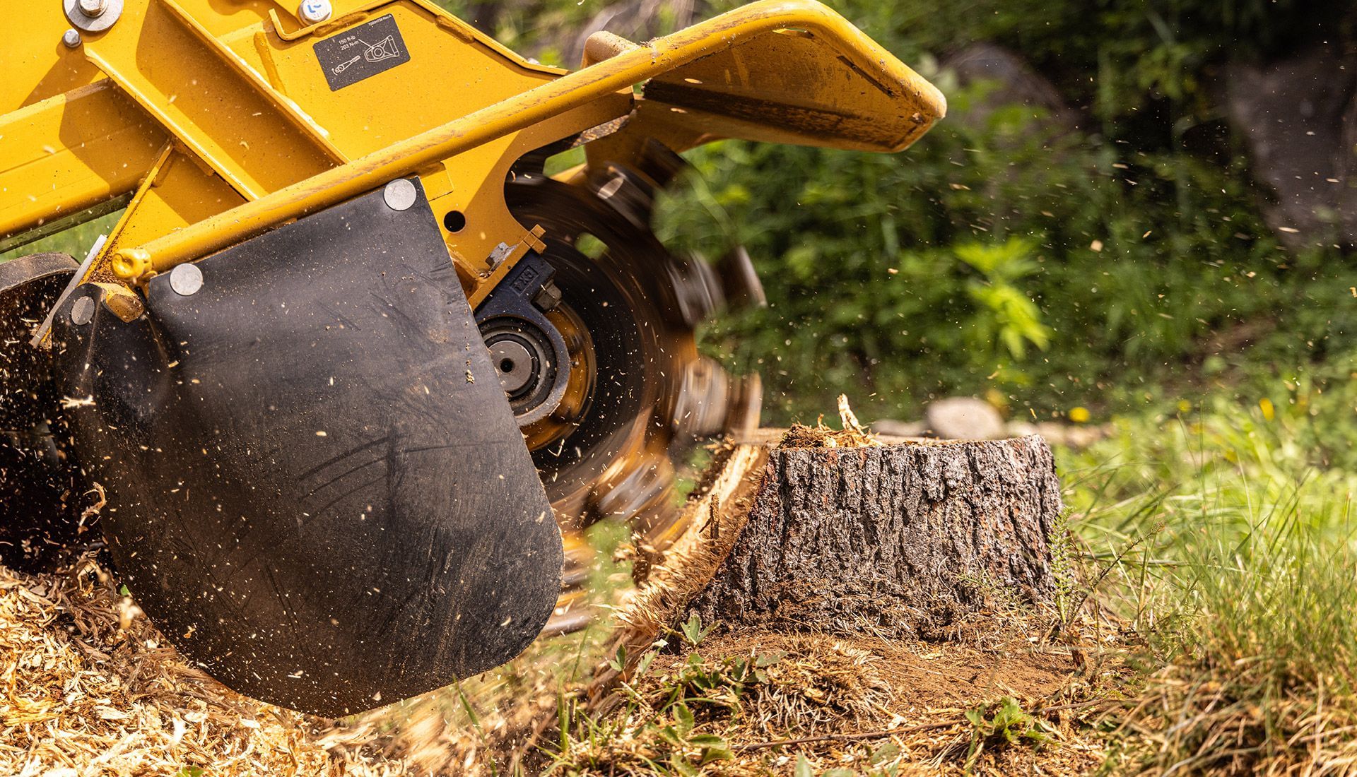 A stump grinder is cutting a tree stump in the grass.
