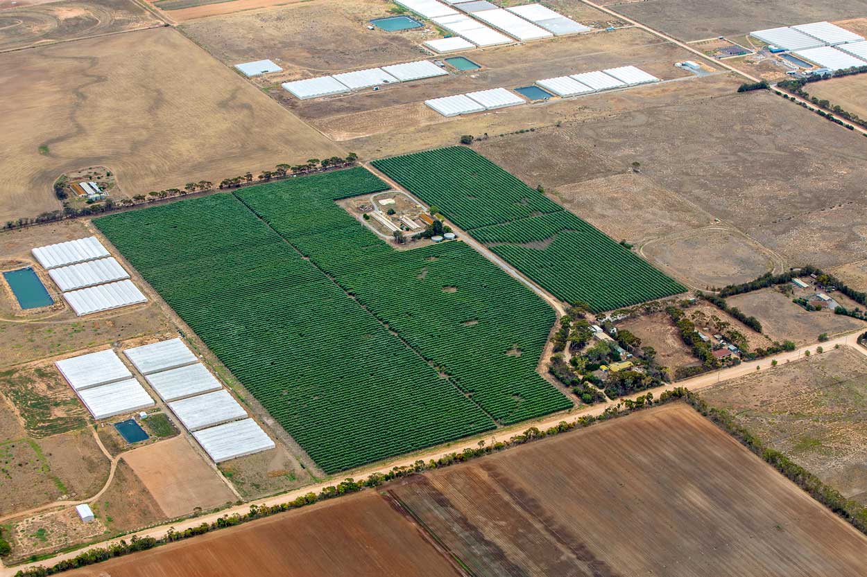 Aerial photo of rural area with crops in the middle
