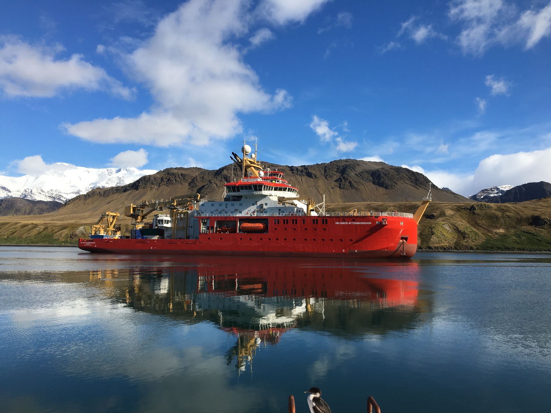 Welcome RRS Sir David Attenborough on her first visit to King Edward Point