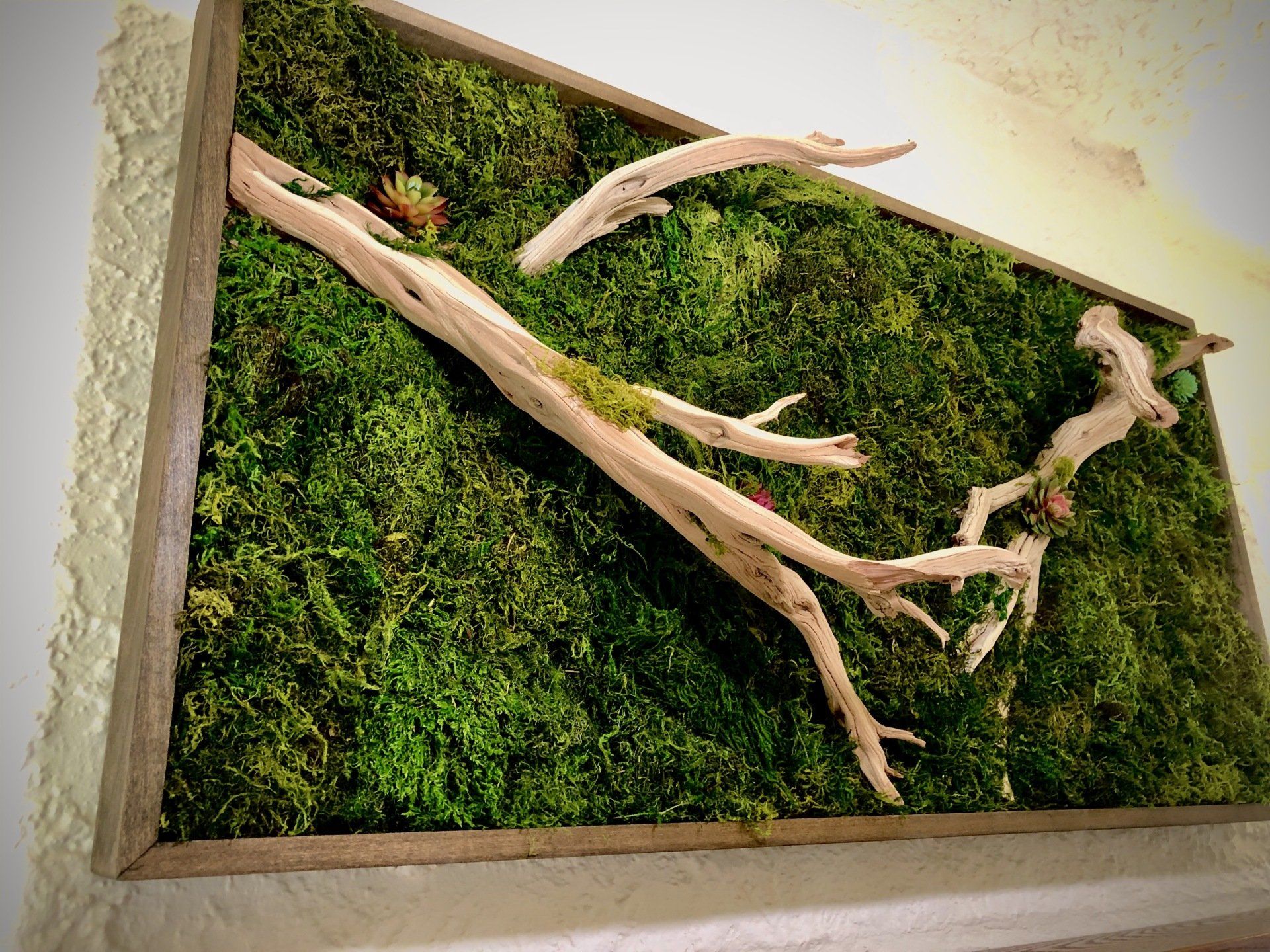 Right Brane Design and moss wall design and build