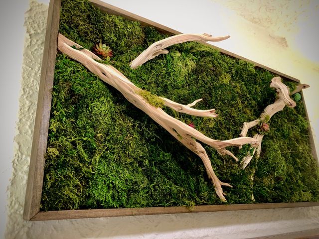 Moss Wall Design and Build