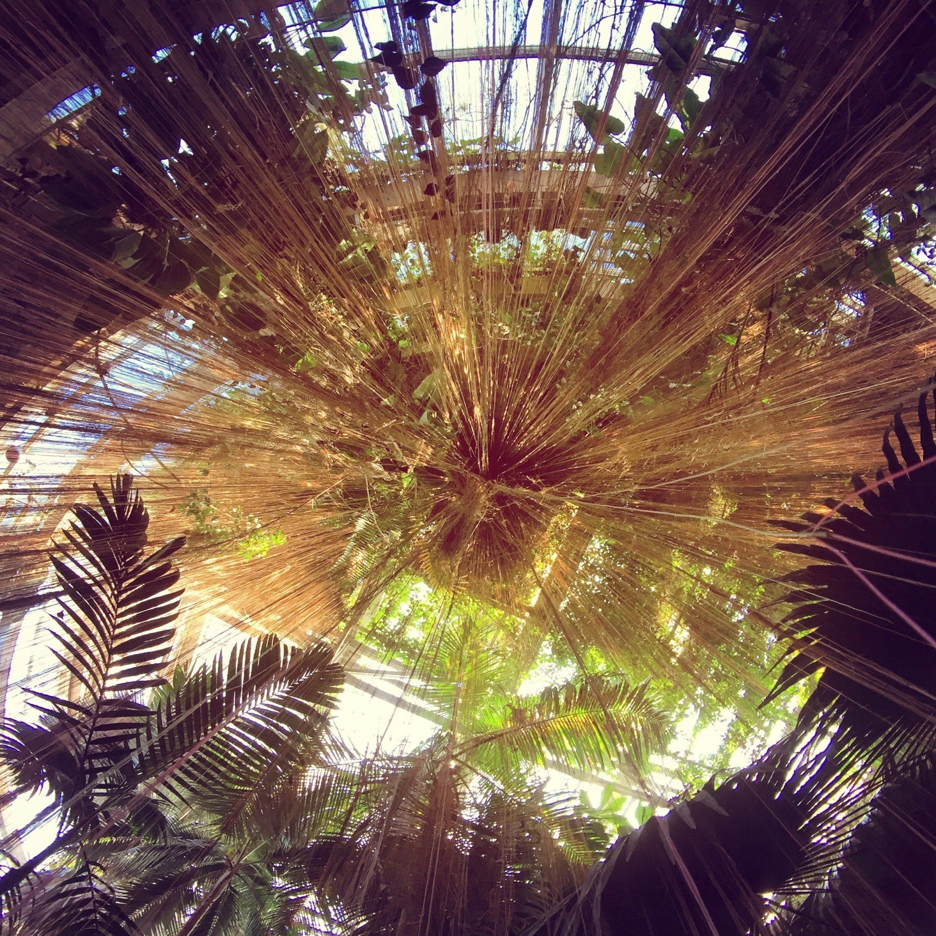 Right Brane Design Photography