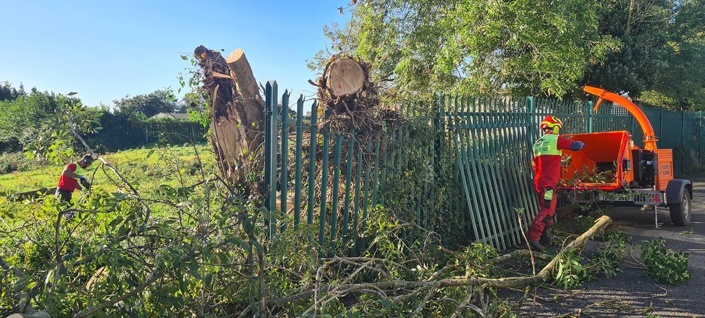 24-hour Storm Emergency Tree Work Limerick