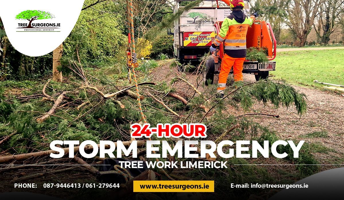 24-hour Storm Emergency Tree Work Limerick