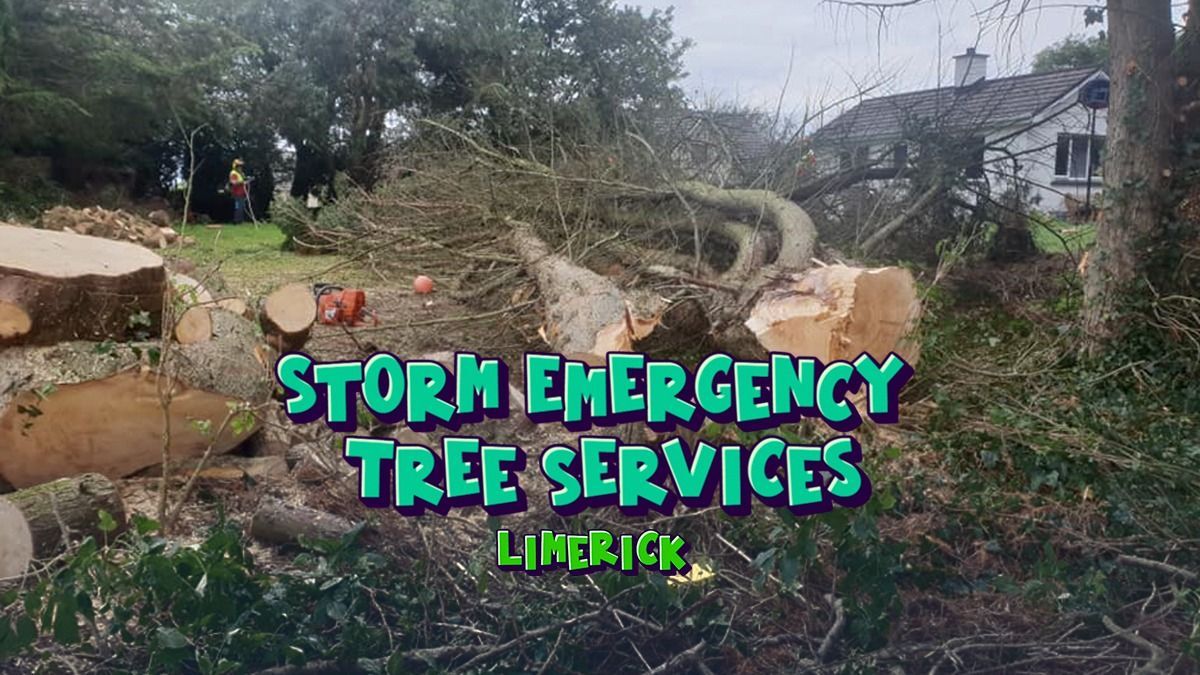 24-hour Storm Emergency Tree Work Limerick