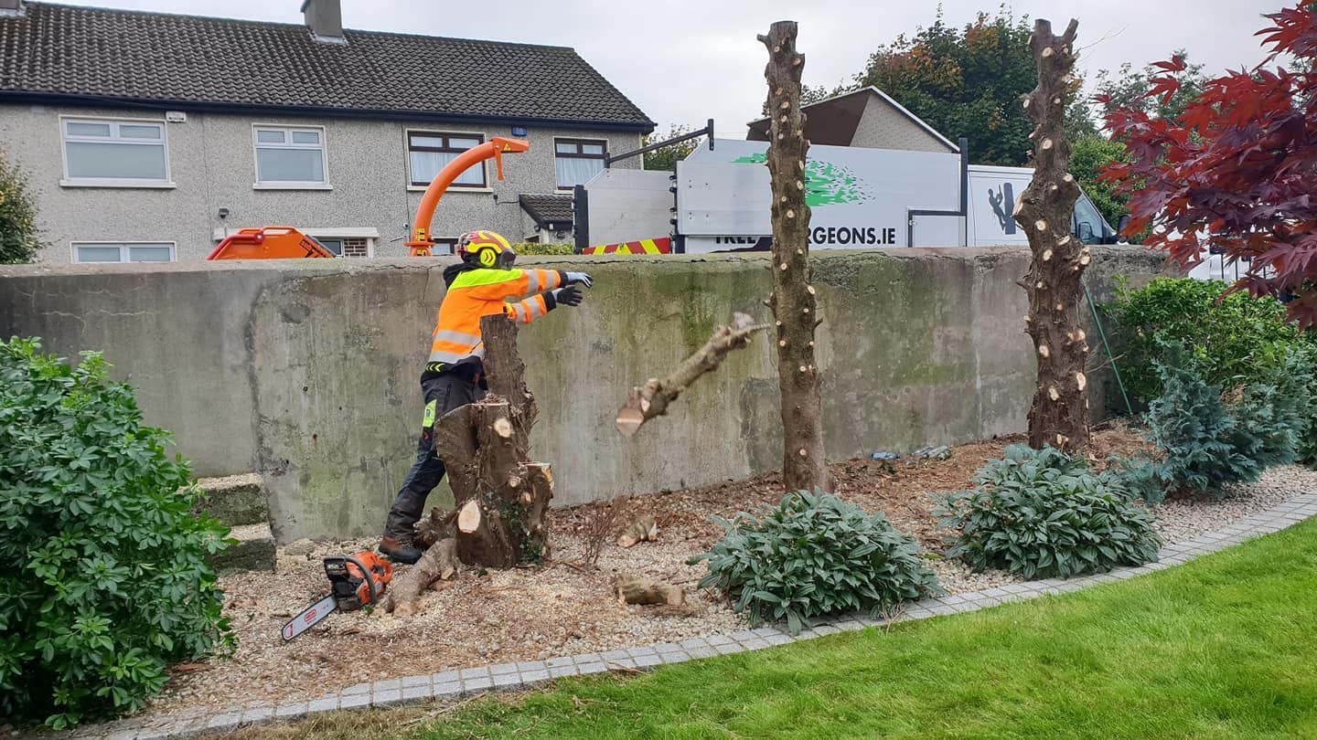 tree removal