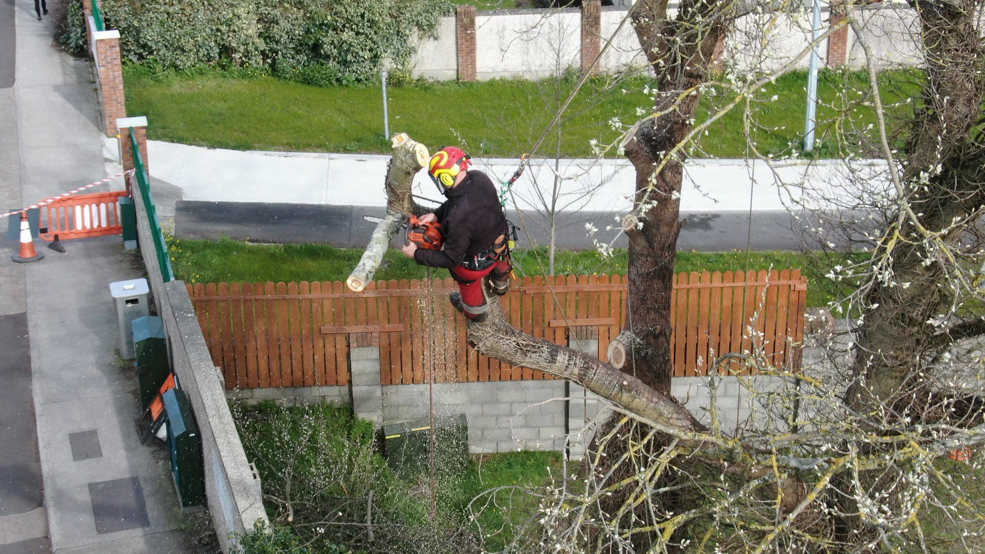 tree Topping services in Limerick