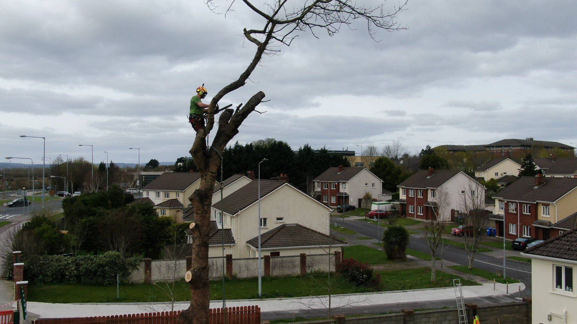 Tree cutting in Limerick