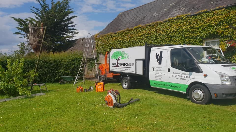 Garden tree maintenance Limerick