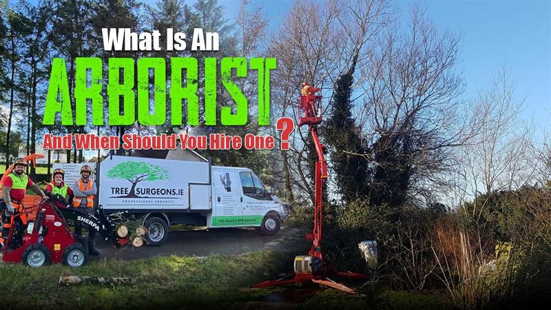 Arborist Limerick