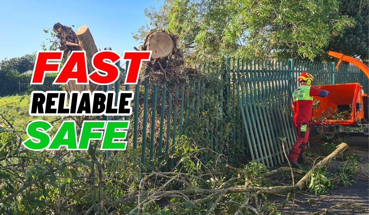 24-hour Storm Emergency Tree Work Limerick