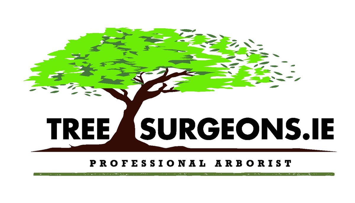 Hedge Cutting Limerick Tree Cutting Limerick