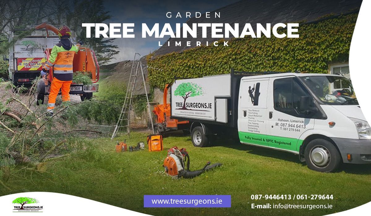 Garden tree maintenance Limerick