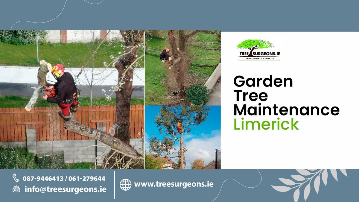 Garden tree maintenance 